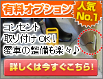 有料オプション
